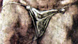 San Francesco d'Assisi o Simone Cireneo o Disma- Michelangelo - Giudizio Universale -&nbsp; Cappella Sistina in Vaticano. Censurato dalla Controriforma.