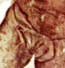 Caronte o Satana con le sembianze del Connestabile di Borbone. -Michelangelo - Giudizio Universale -&nbsp; Cappella Sistina in Vaticano. Censurato dalla Controriforma.